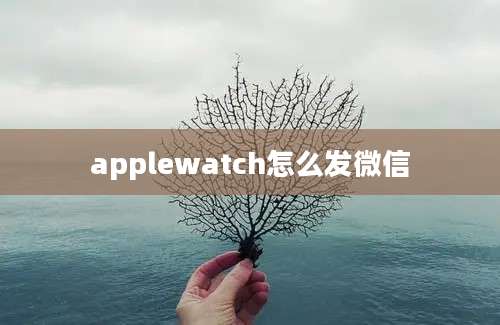 applewatch怎么发微信