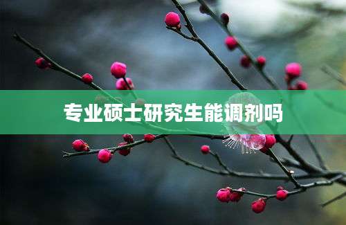 专业硕士研究生能调剂吗