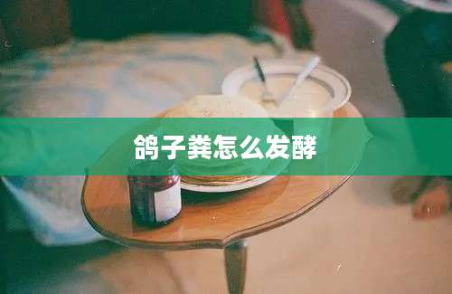 鸽子粪怎么发酵