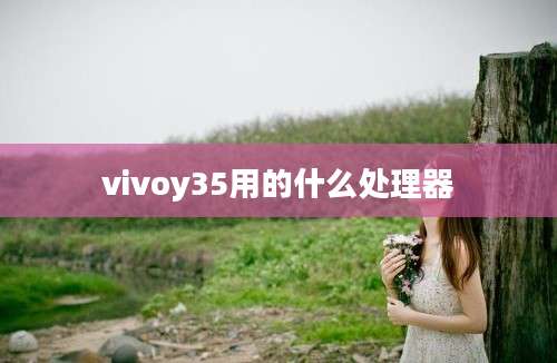 vivoy35用的什么处理器