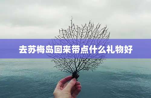 去苏梅岛回来带点什么礼物好