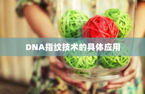 DNA指纹技术的具体应用