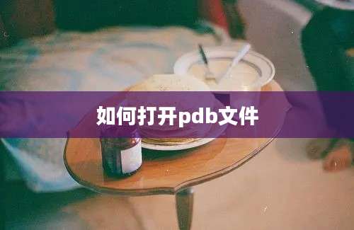 如何打开pdb文件