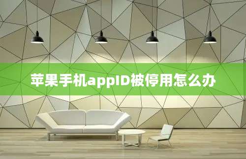 苹果手机appID被停用怎么办