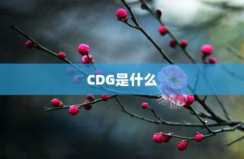 CDG是什么