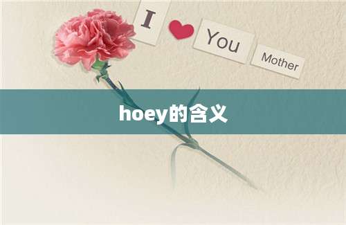 hoey的含义