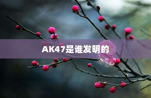 AK47是谁发明的