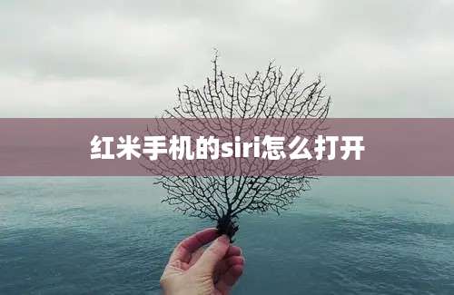 红米手机的siri怎么打开