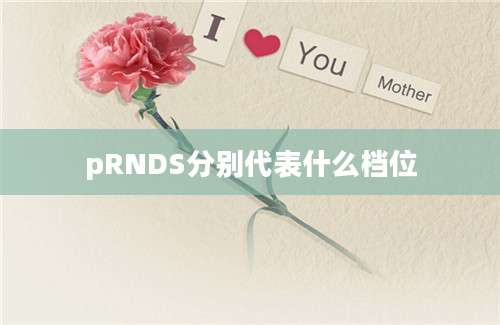 pRNDS分别代表什么档位