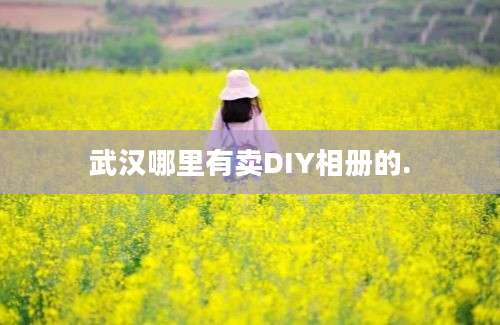 武汉哪里有卖DIY相册的.