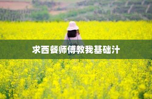 求西餐师傅教我基础汁