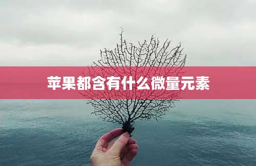 苹果都含有什么微量元素