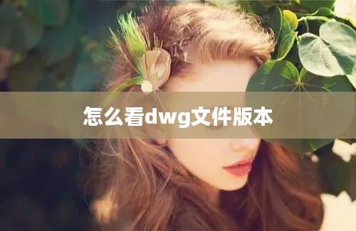 怎么看dwg文件版本