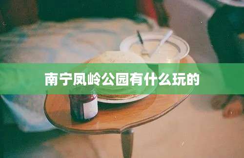 南宁凤岭公园有什么玩的