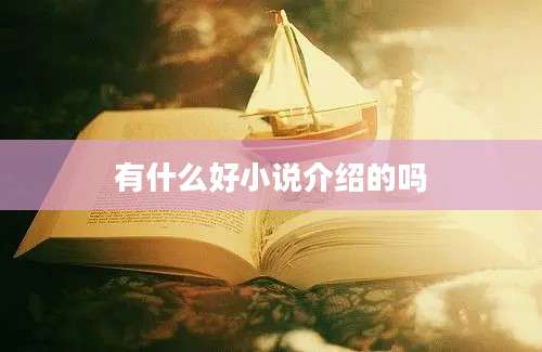 有什么好小说介绍的吗