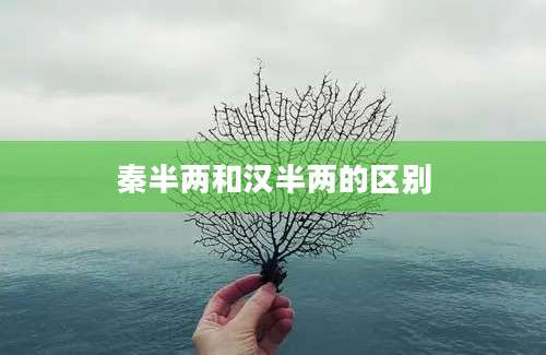 秦半两和汉半两的区别