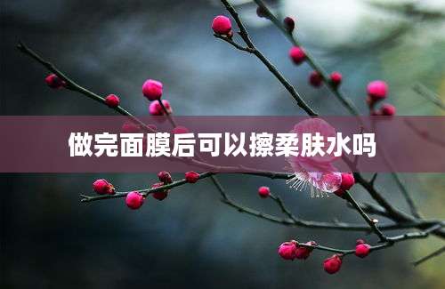 做完面膜后可以擦柔肤水吗