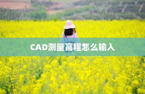 CAD测量高程怎么输入