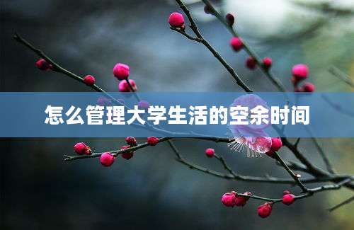 怎么管理大学生活的空余时间