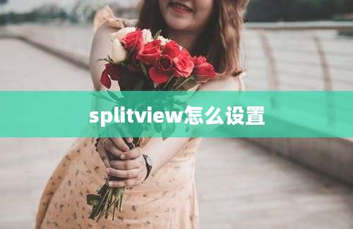 splitview怎么设置