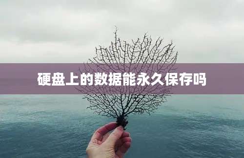 硬盘上的数据能永久保存吗