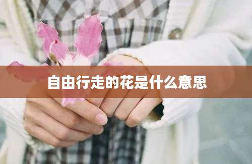 自由行走的花是什么意思