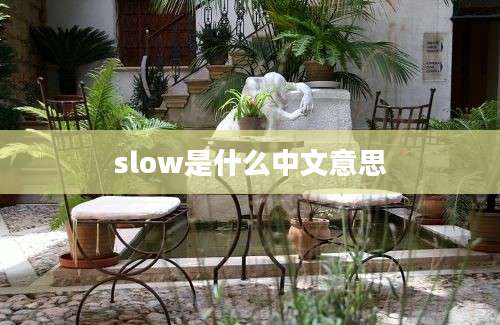 slow是什么中文意思