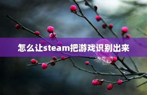 怎么让steam把游戏识别出来