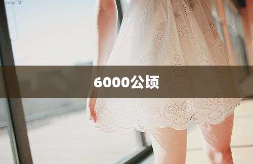 6000公顷