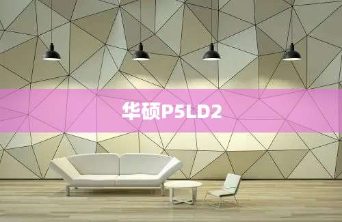 华硕P5LD2