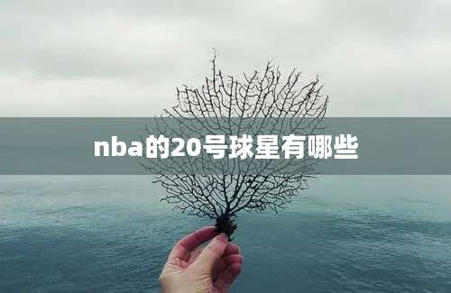 nba的20号球星有哪些