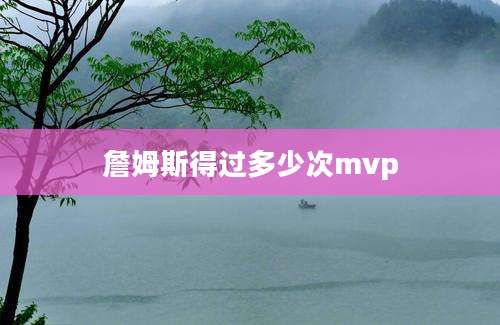 詹姆斯得过多少次mvp