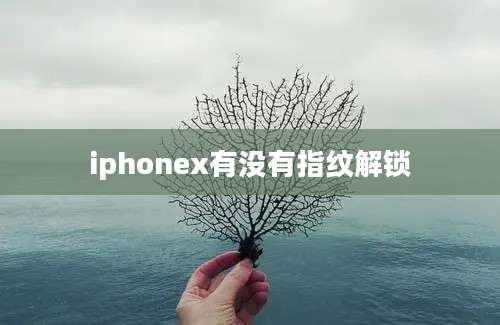 iphonex有没有指纹解锁