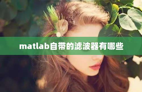 matlab自带的滤波器有哪些