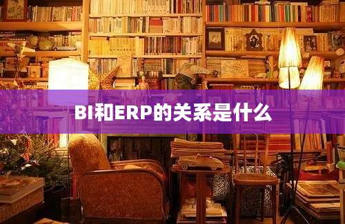 BI和ERP的关系是什么