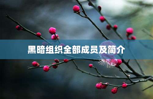 黑暗组织全部成员及简介