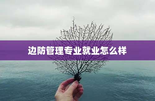 边防管理专业就业怎么样