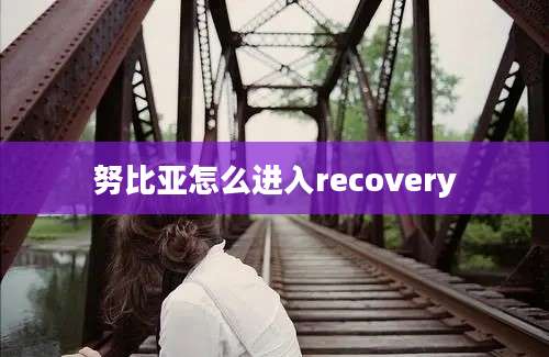 努比亚怎么进入recovery