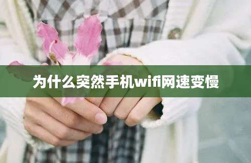 为什么突然手机wifi网速变慢