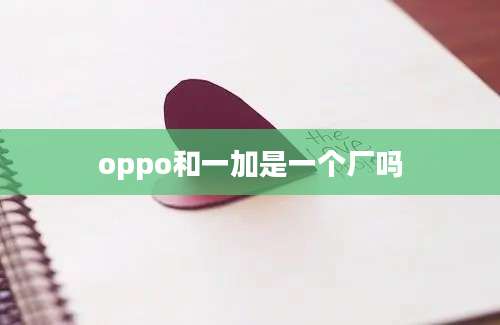 oppo和一加是一个厂吗