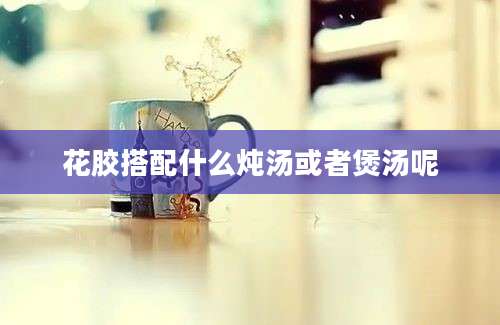 花胶搭配什么炖汤或者煲汤呢