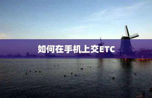 如何在手机上交ETC