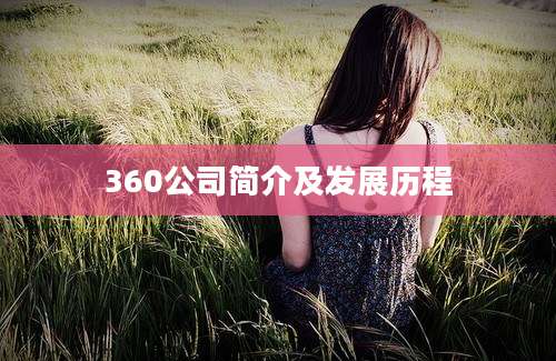 360公司简介及发展历程