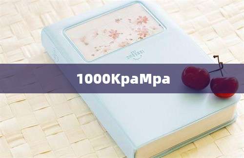 1000KpaMpa