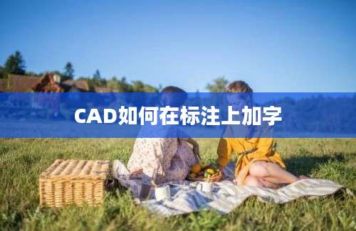 CAD如何在标注上加字