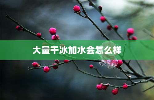 大量干冰加水会怎么样