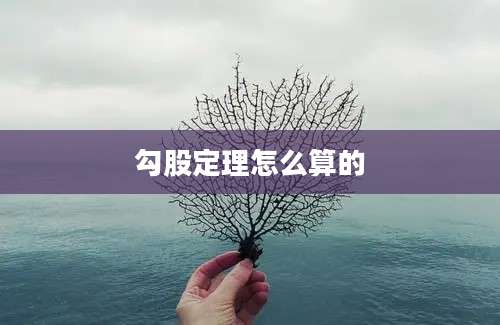 勾股定理怎么算的