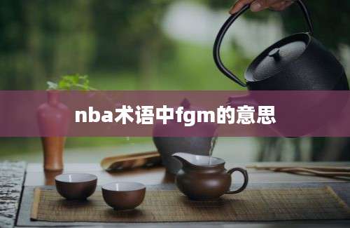 nba术语中fgm的意思