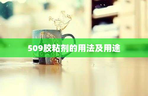 509胶粘剂的用法及用途