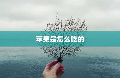 苹果是怎么吃的